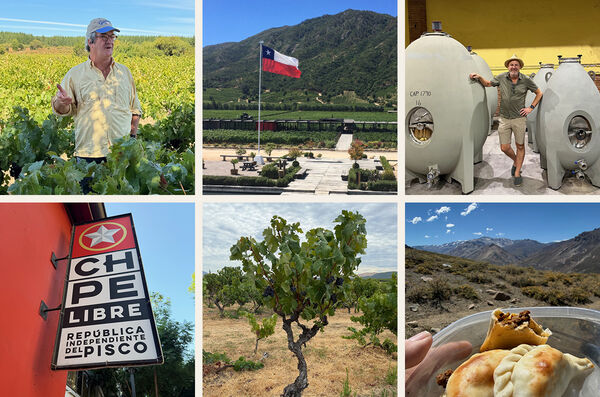 Sexbilds-kollage: vinodling med vinmakare, chilensk flagga över en vingård och egendom, fermenteringstankar, skylt för pisco, en ensam vinranka och empanadas mot bergslandskap. Sexbilds-kollage: vinodling med vinmakare, chilensk flagga över en vingård och egendom, fermenteringstankar, skylt för pisco, en ensam vinranka och empanadas mot bergslandskap.