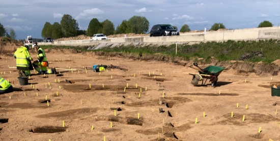 Ett virrvarr av arkeologer, skottkärror, hål i marken och hundratals små gula pinnar som markerar anläggningar som var gropar efter bla. stolpar, härdar och kokgropar.