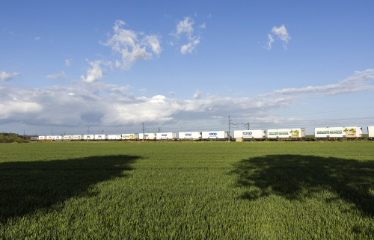 Ett långt godståg med vita vagnar kör genom grönt landskap. Foto: Kasper Dudzik
