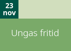 Grafik i gröna nyanser där det står 23 november, Ungas fritid