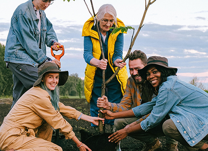 Grupp av människor planterar ett träd tillsammans på en åker. Foto: Anna Shvets/Pexels