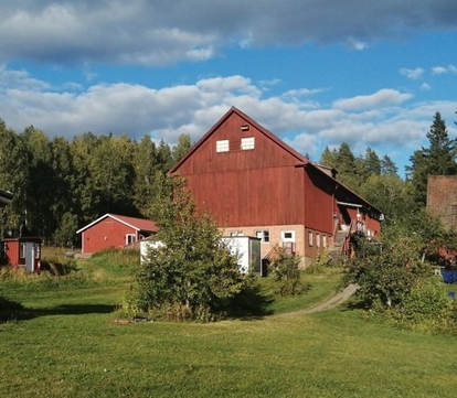 Röd ladugård och mindre byggnader omgivna av gröna fält under en solig dag. Foto: Ängsbacka kursgård