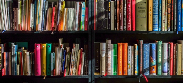 Två rader med böcker i en bokhylla.