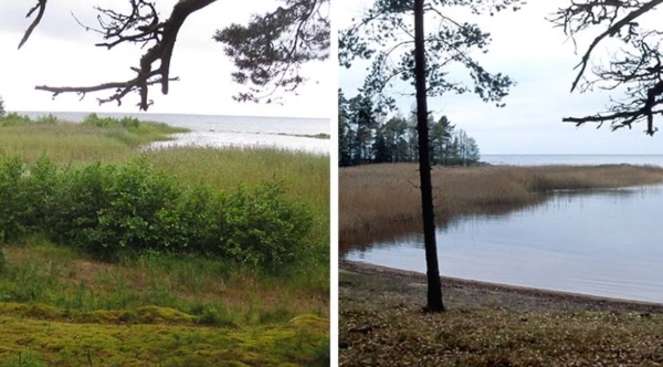 Brommö Fagersand år 2012, foto Camilla Finsberg, och samma strand 2000, foto Joakim Lannek.