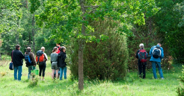 Människor med ryggsäckar och väskor fotograferade bakifrån i naturen bland träd och buskar.
