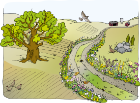Illustration av en grusväg genom ett jordbrukslandskap kantat av blommor.