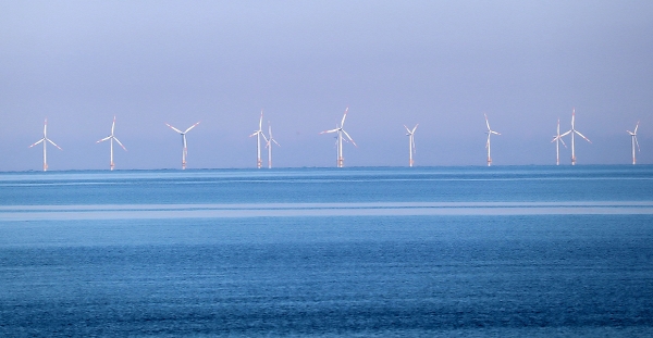 Flera vindkraftverk står på rad ute till havs