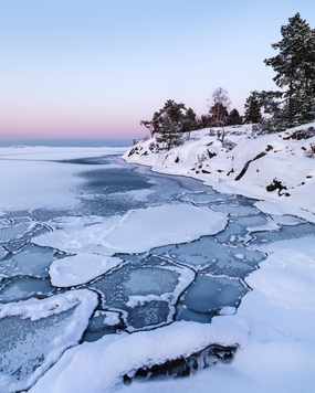 Foto: Scandinavia bildbyrå