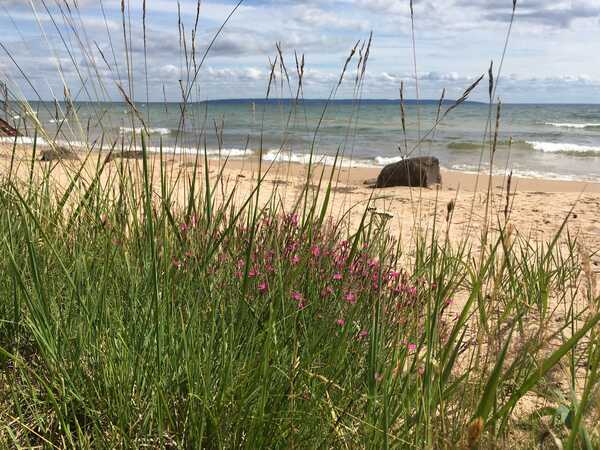 Strand vid Vättern. Foto: Länsstyrelsen Västra Götaland.