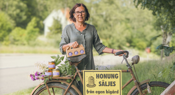Studiebesök hos Nolhaga Bigård