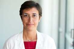 Samband mellan fiberfattig kost och farligare plack i kranskärlen