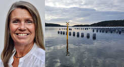 Ändrat arbetssätt kring vattenbruk får positivt betyg från branschen