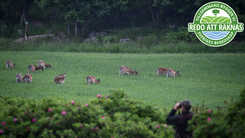Svenska Jägareförbundet – en resurs för Sveriges krisberedskap