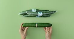 Snart slipper vi plasten runt gurkorna |&nbsp;Land.se