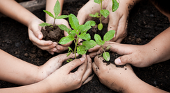 Cirkulär mat i praktiken – Ett samarbete för hållbara offentliga måltider - Skolmatsakademin