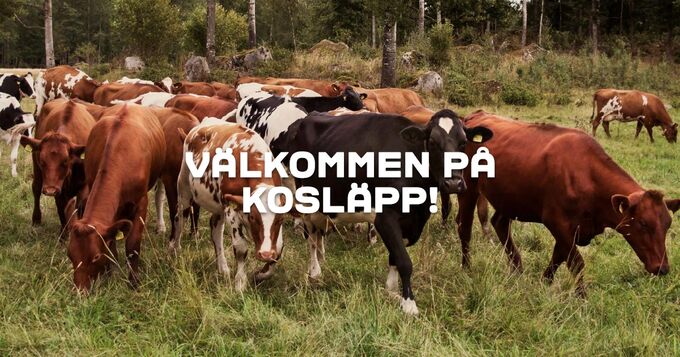 Välkommen på kosläpp