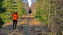 Ett viltslakteri i varje kommun – beredskapslärdomar från Finland