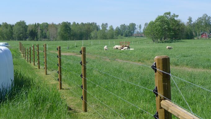 Foto: Länsstyrelsen