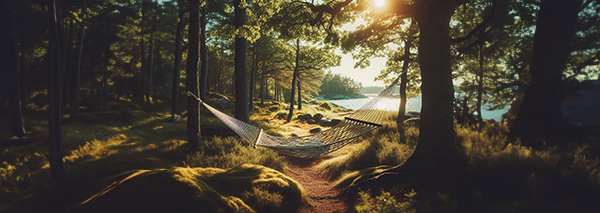 Hängmatta mellan träd i en solbelyst skog vid sjö.