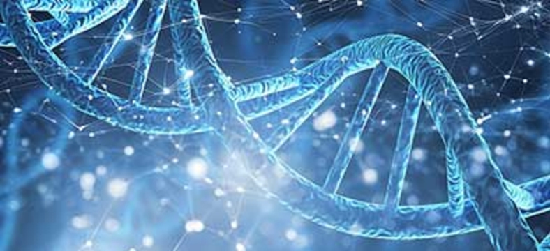DNA.