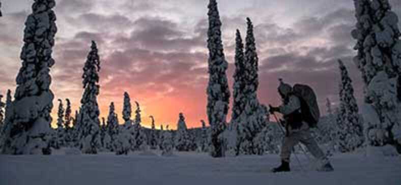 Soldat i vinerlandskap.
