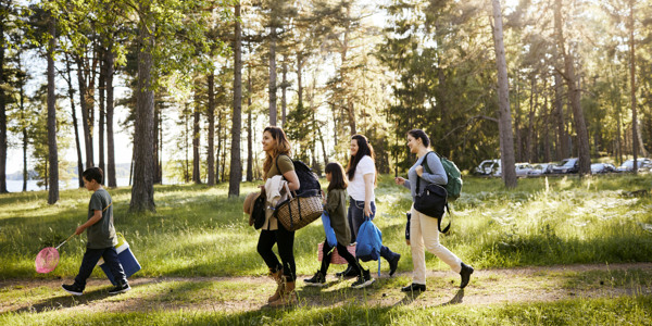 Familj på utflykt i soligt skogsläge.
