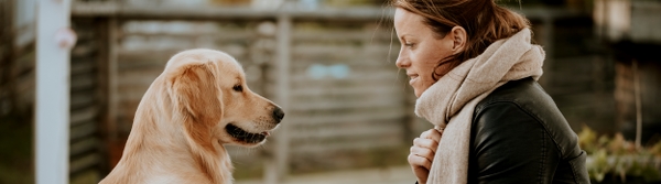 Hund och kvinna tittar på varandra i profil