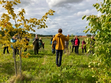Deltagare i en fältvandring i agroforestry på åkermark.