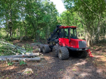 Lövskog under avverkning, en röd traktor i en glänta i lövskog under avverkning. Foto: Länsstyrelsen Stockholm.