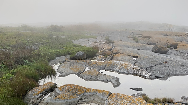 Tärnskär i höstdimma. Släta, grå bergshällar med vattenfyllda hällkar och låg ljung intill. Foto: Länsstyrelsen.
