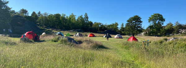 Tältängen på Bullerö, midsommar 2024. Foto: Länsstyrelsen.