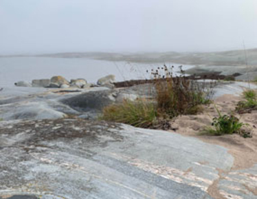 Flack berghäll vid havet i dimma. Foto: LÄnsstyrelsen.