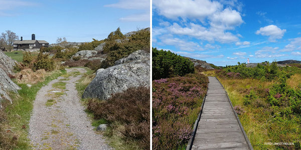 Kollage två bilder från Bullerö, grusstigen upp mot Jaktstugan och spången mot stranden.
