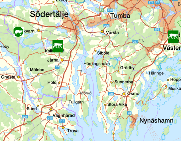 bilden visar veckans observationer av rovdjur söder om Stockholm