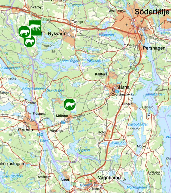 bilden visar veckans observationer av rovdjur söder om Stockholm