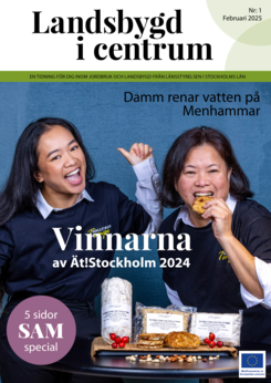 Bilden visar framsidan på Landsbygd i centrum.