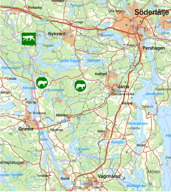 bilden visar veckans observationer av rovdjur söder om Stockholm