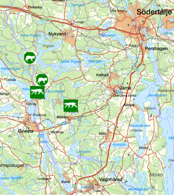 bilden visar veckans observationer av rovdjur söder om Stockholm