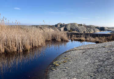 En vattenfylld yta bakom en bygd fördämning utomhus i naturen. Foto: Länsstyrelsen Stockholm.