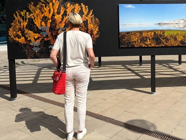 En kvinna står vid en väggskärm med tångmotiv.