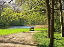Bilden visar en tom parkbänk i en solig park.
