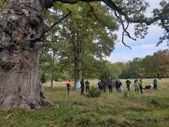 Bilden visar deltagare på en kurs om skyddsvärda träd.