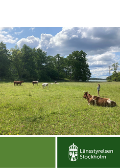 Kor på en grön äng med en person vid trädklädd kant under molnig himmel, omslag för programmet Hållbar natur Kor på en grön äng med en person vid trädklädd kant under molnig himmel, omslag för programmet Hållbar natur
