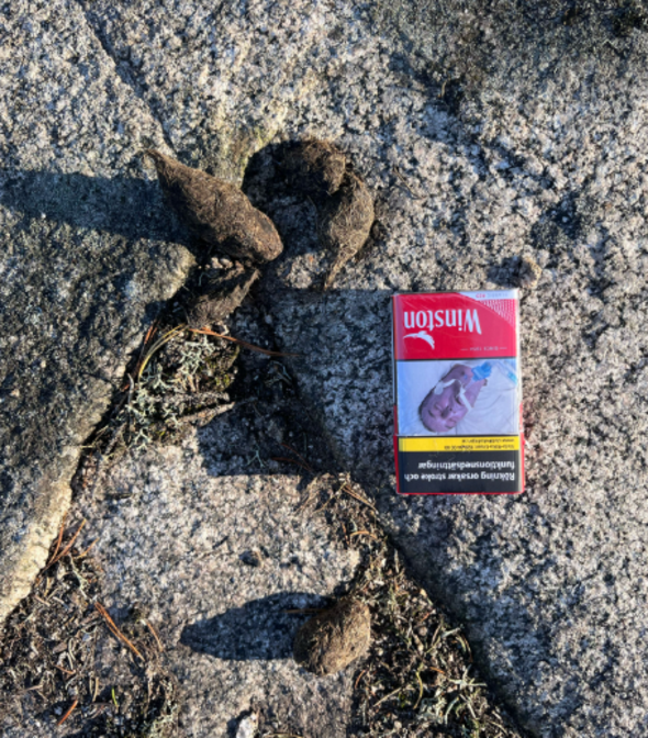 Vargspillning öster om Norrtälje