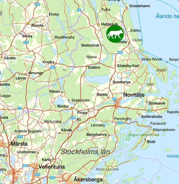 bilden visar veckans observationer av rovdjur norr om Stockholm