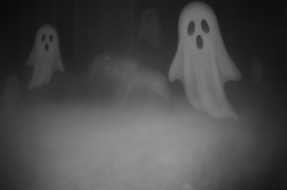 Varg och spöken i dimman