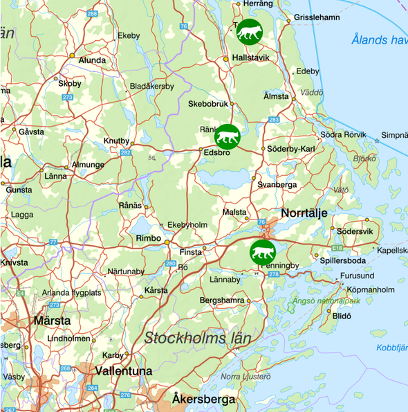 bilden visar veckans observationer av rovdjur norr om Stockholm