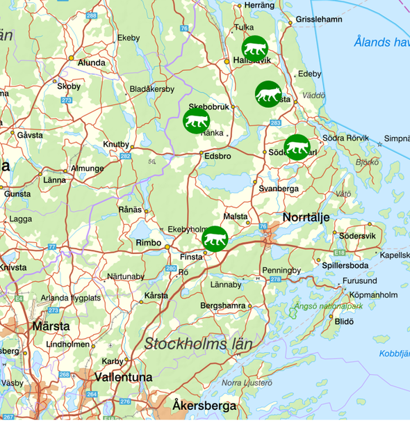 bilden visar veckans observationer av rovdjur norr om Stockholm