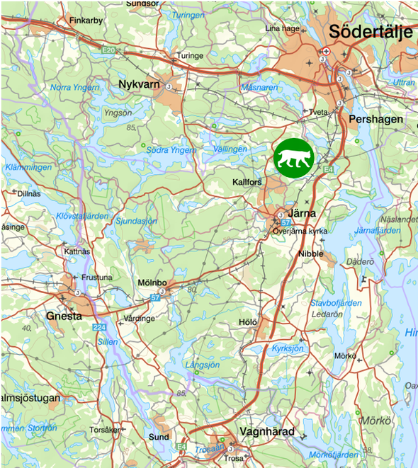 bilden visar veckans observationer av rovdjur söder om Stockholm
