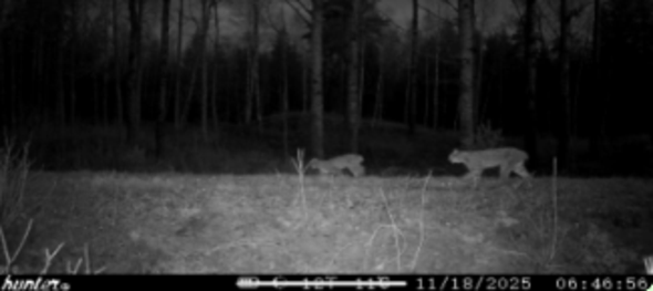 lofamiljpasserar Länsstyrelsens kamera